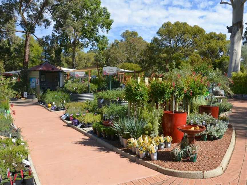 Zanthorrea Nursery, Tourist attractions in Maida Vale