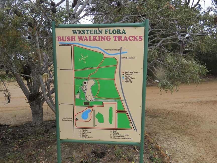 Western Flora Caravan Park - Wildflower Tours, Tourist attractions in Arrowsmith