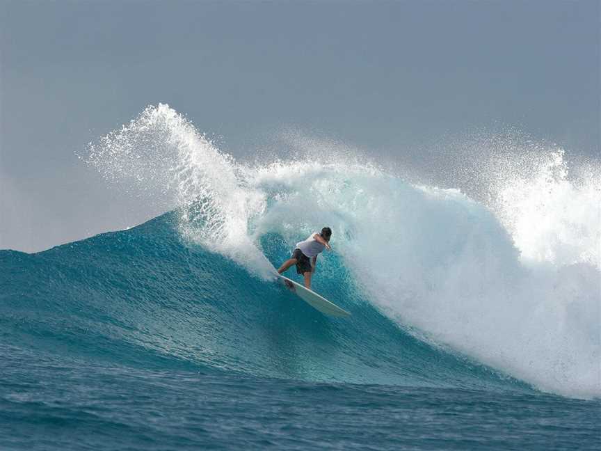 Surfing at Midgies, Tourist attractions in Gnaraloo