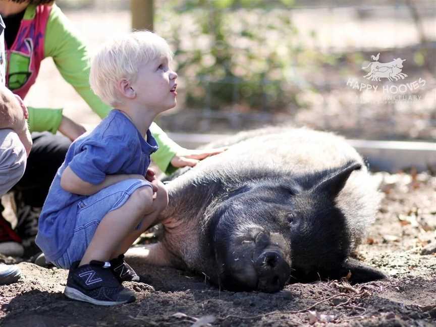 Happy Hooves Farm Sanctuary, Tourist attractions in Gidgegannup