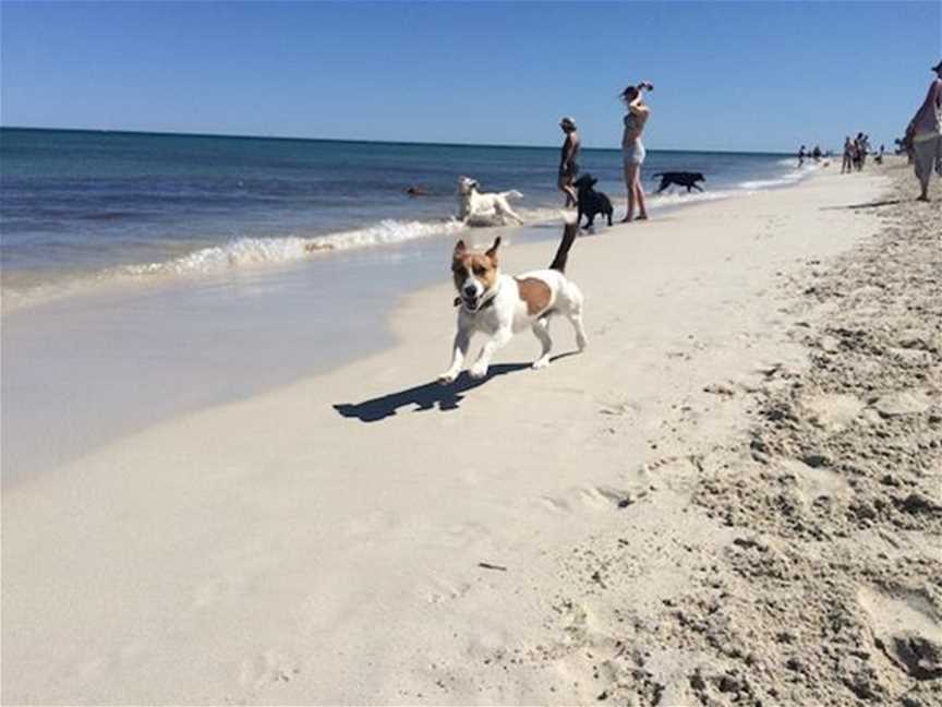 Whitfords Dog Beach, Tourist attractions in Hillarys