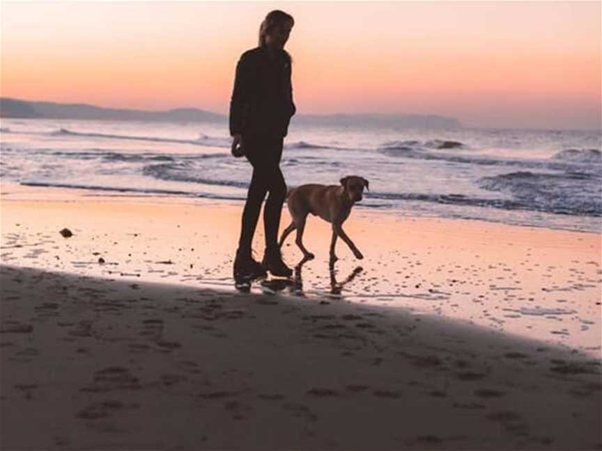 Shoalwater Dog Beach, Tourist attractions in Shoalwater