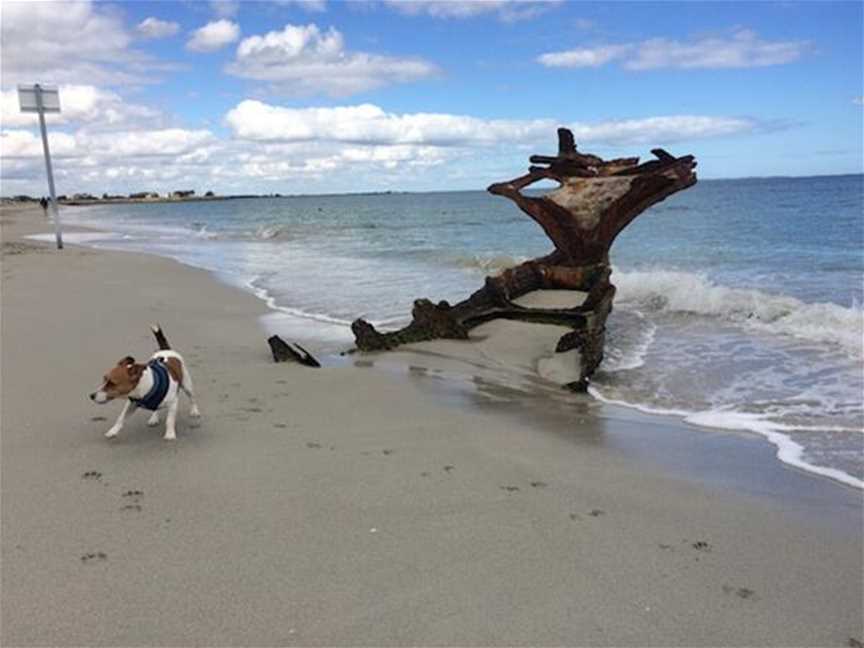 CY O'Connor Dog Beach, Tourist attractions in North Coogee