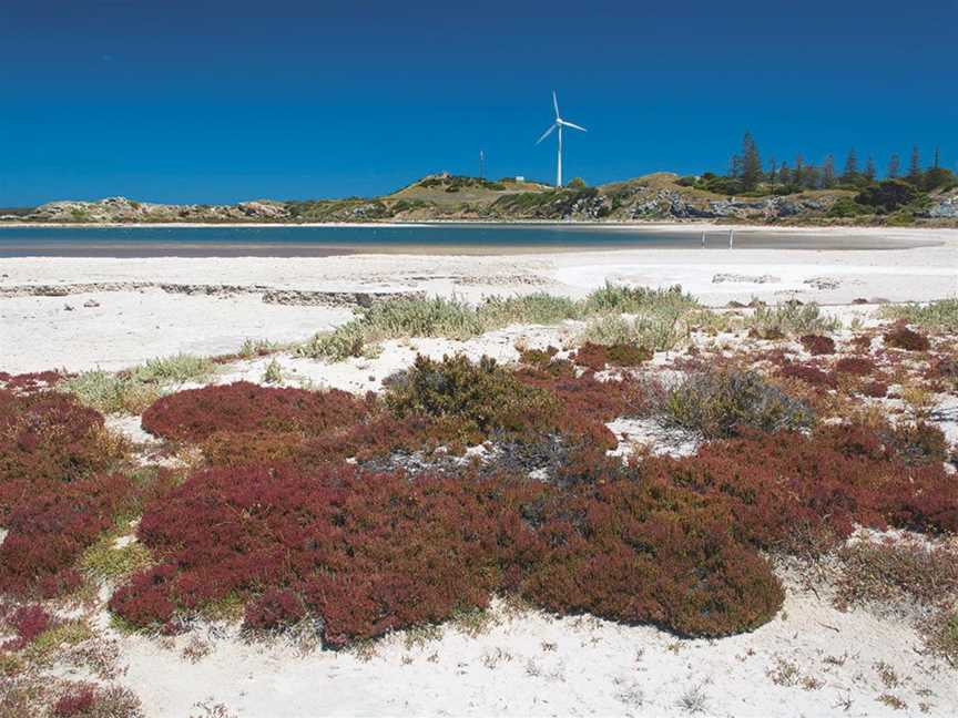 Herschel Lake, Tourist attractions in Rottnest Island