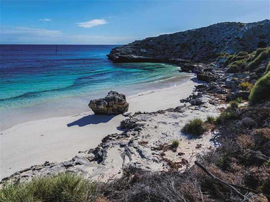 Snorkelling At Mary Cove, Tourist attractions in Rottnest Island