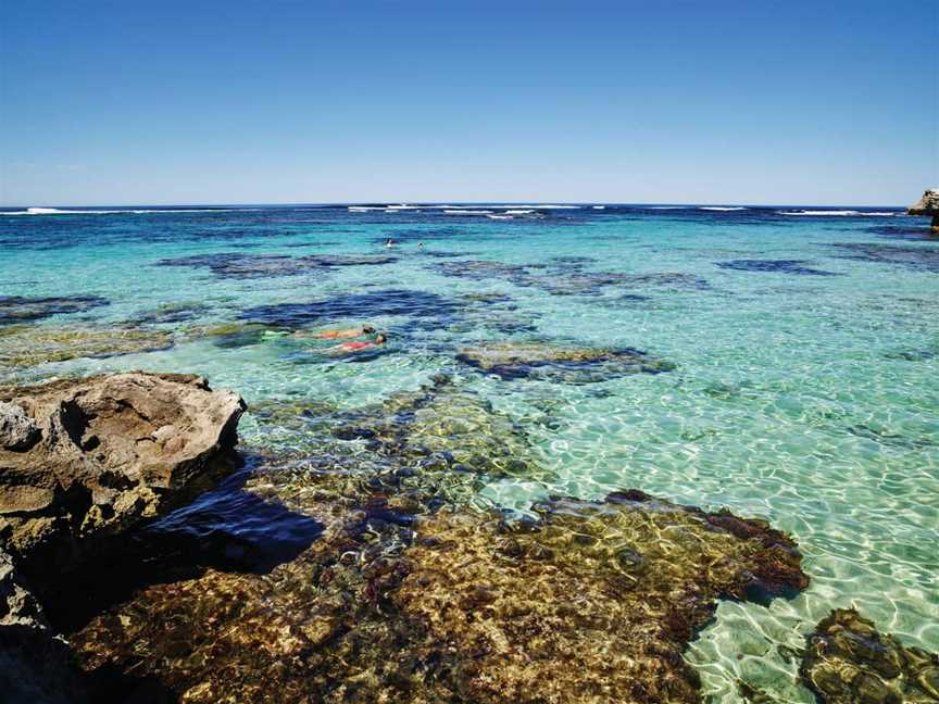 Snorkelling At Little Armstrong Bay, Tourist attractions in Rottnest Island