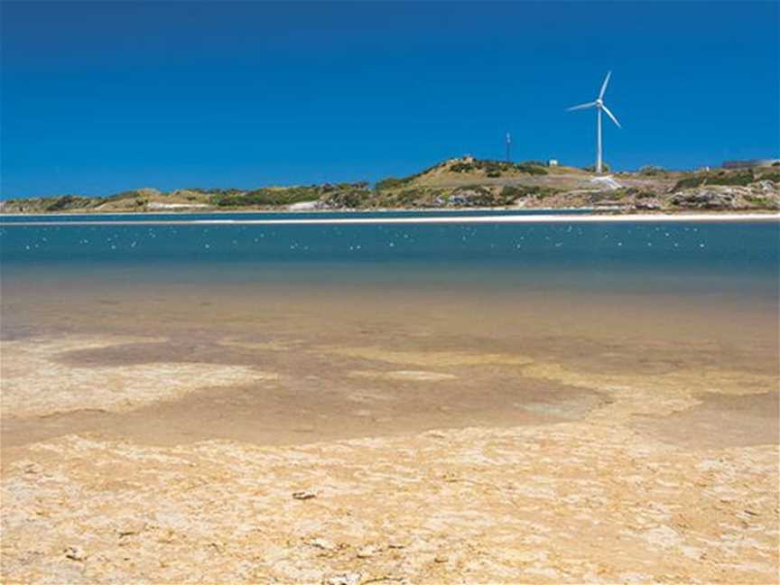 Pink Lake, Tourist attractions in Rottnest Island