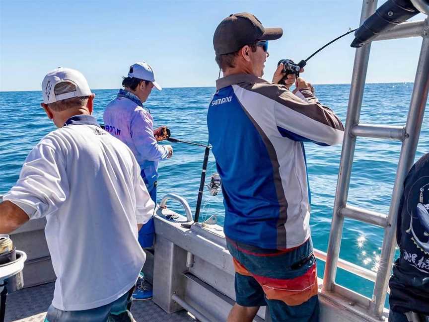 Seaestar Fishing Charters, Tourist attractions in Jurien Bay