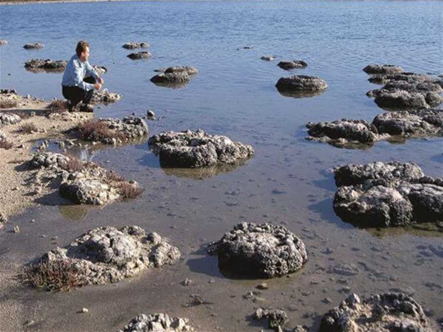 Lake Thetis Thrombolites, Tourist attractions in Cervantes