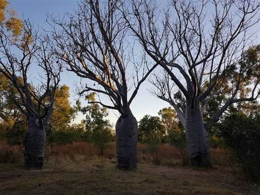 Parry Creek Road, Tourist attractions in Kununurra