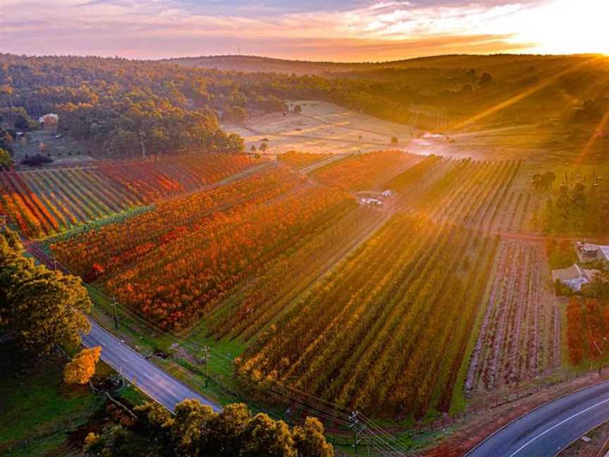 Raeburn Orchards, Tourist attractions in RoleyStone