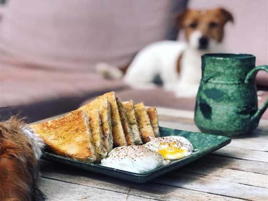 Otis and Lola looking at lunch on Happs Pottery