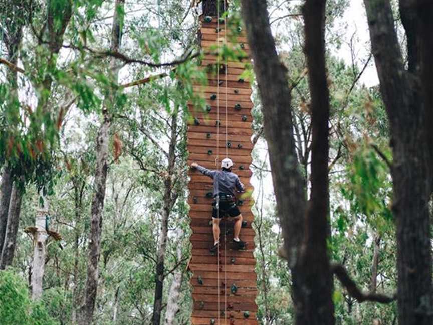 Forest Adventures South West, Tourist attractions in Busselton