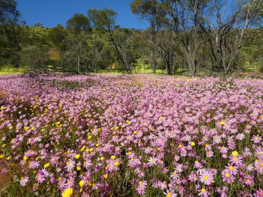 Coalseam Conservation Park Plateau Loop Trail, Tourist attractions in Mingenew