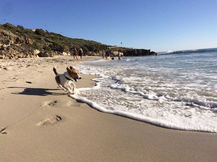 North Beach Dog Beach, Tourist attractions in North Beach