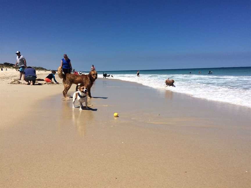 Dog Beach (South of City Beach), Tourist attractions in City Beach