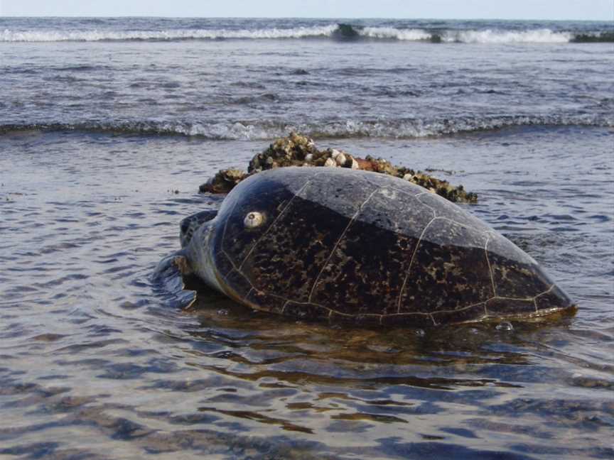 Barrow Island Marine Park