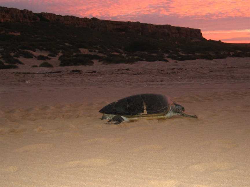 Barrow Island Marine Park