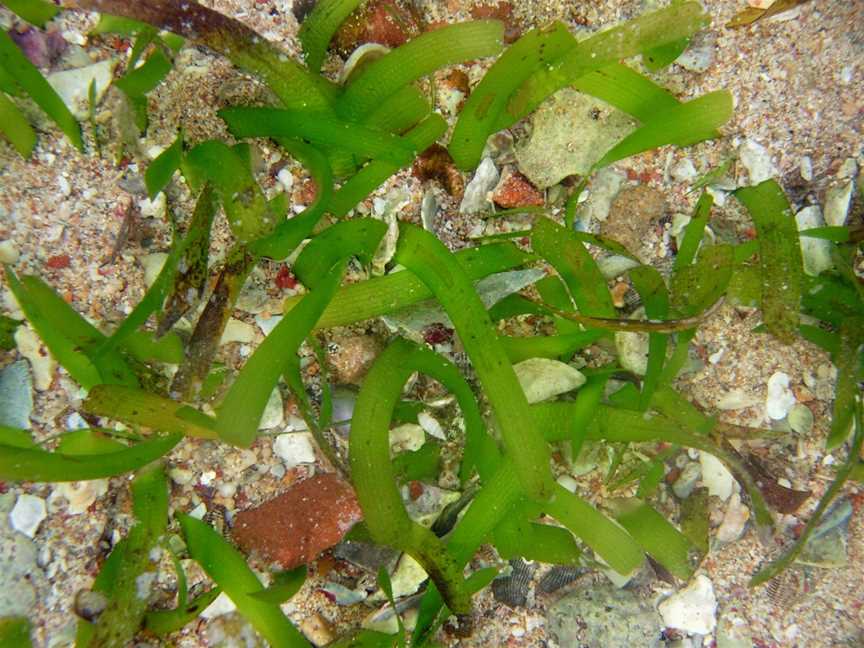 Barrow Island Marine Park