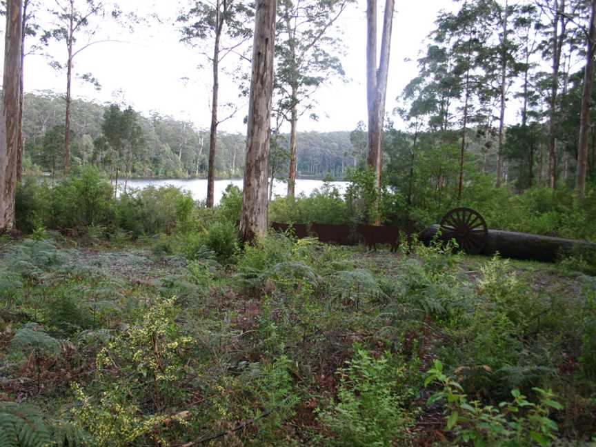 Big Brook State Forest