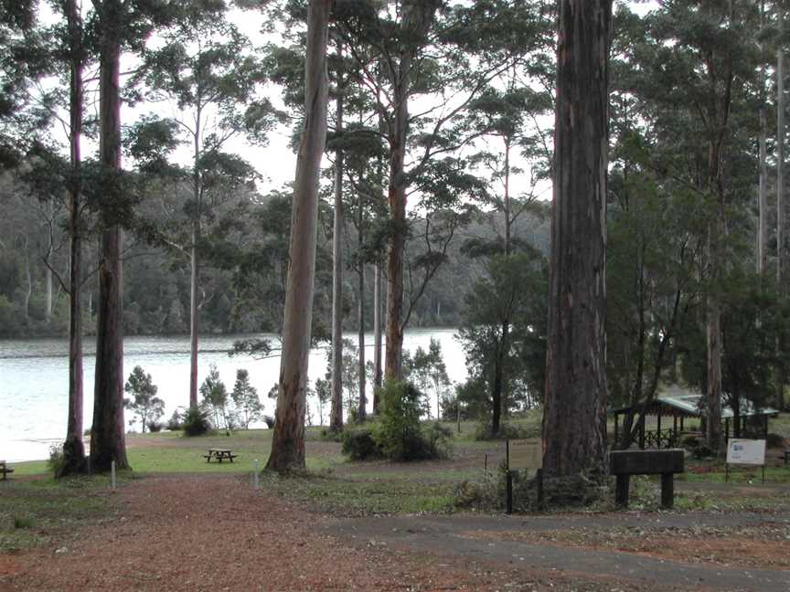 Big Brook State Forest