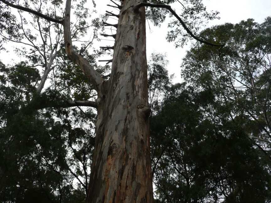 Boorara - Gardner National Park