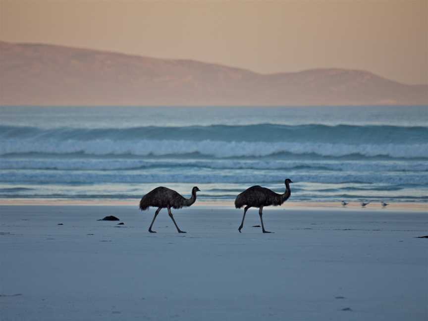 Cape Arid National Park