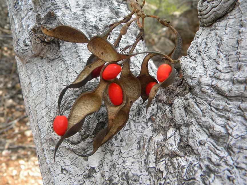 Cape Range National Park