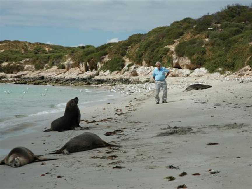 Carnac Island Nature Reserve