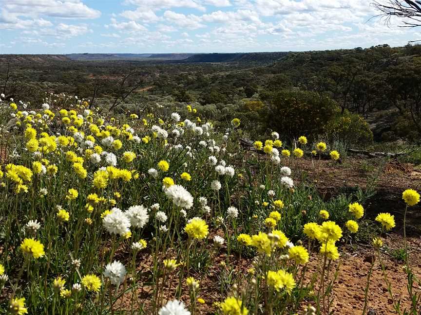 Coalseam Conservation Park