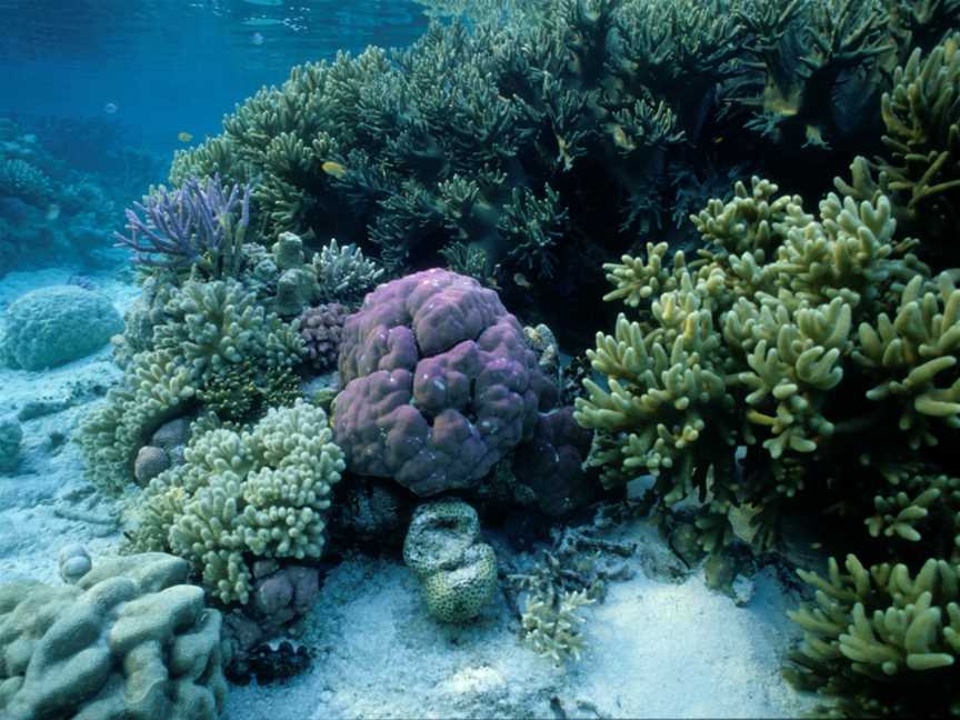 Dampier Archipelago Island Reserves