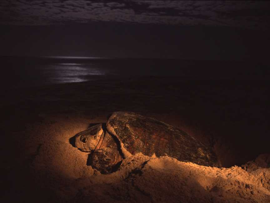 Dirk Hartog Island National Park