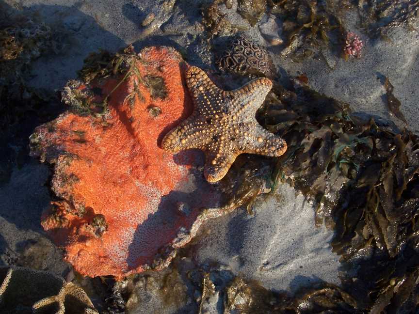 Eighty Mile Beach Marine Park