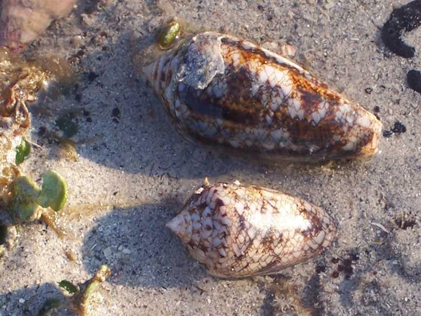 Eighty Mile Beach Marine Park