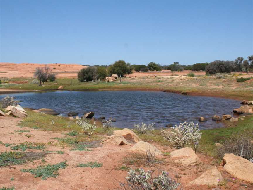 Goongarrie National Park