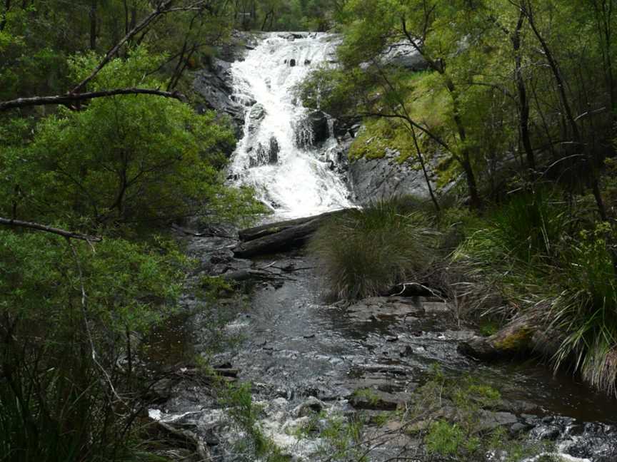 Greater Beedelup National Park