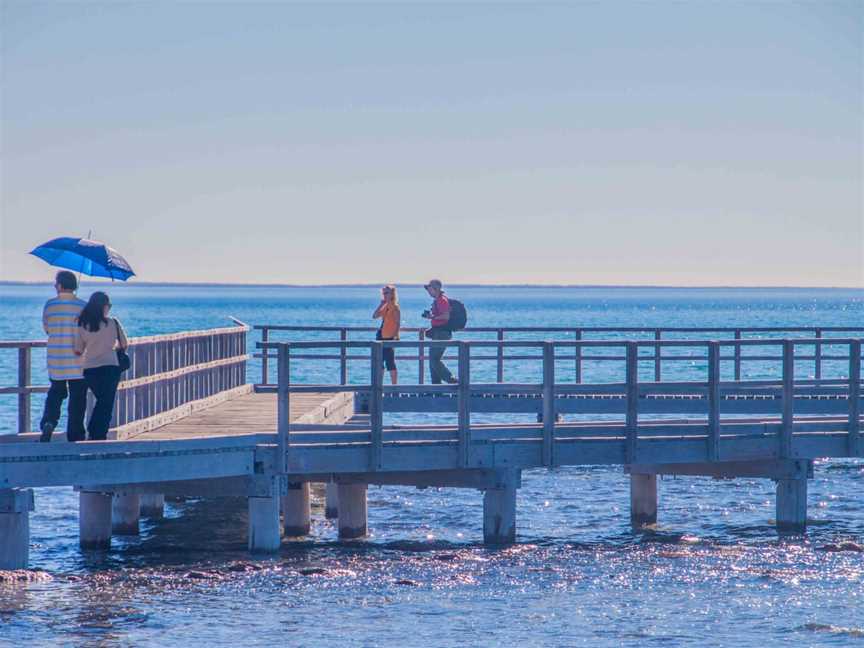 Hamelin Pool Marine Nature Reserve