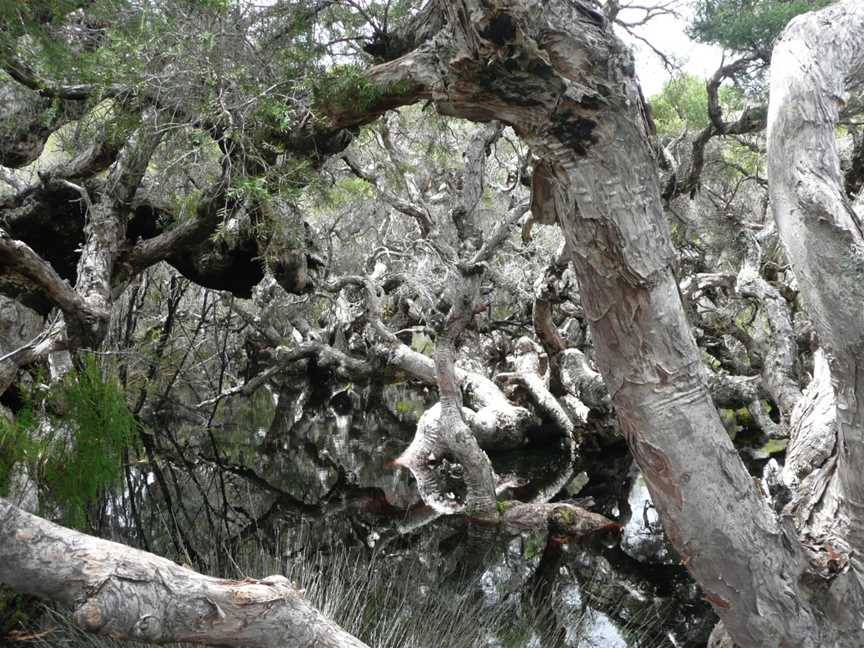 Hawke National Park