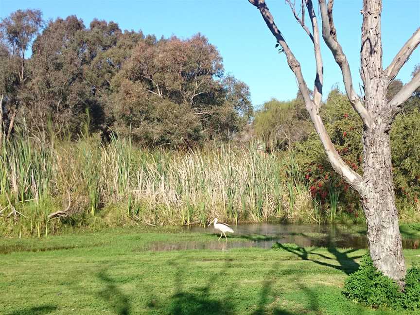 Herdsman Lake Regional Park