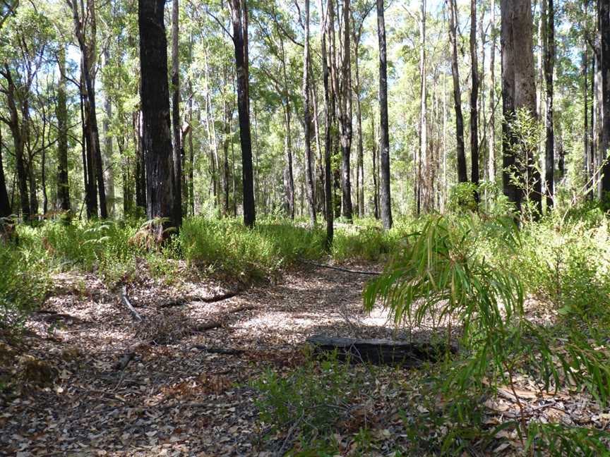 Jane National Park