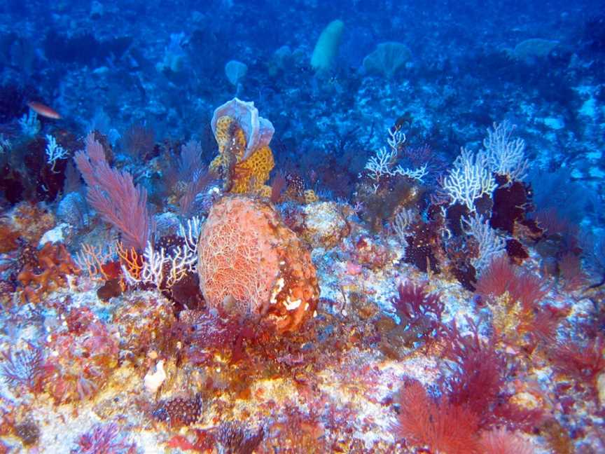 Jurien Bay Marine Park