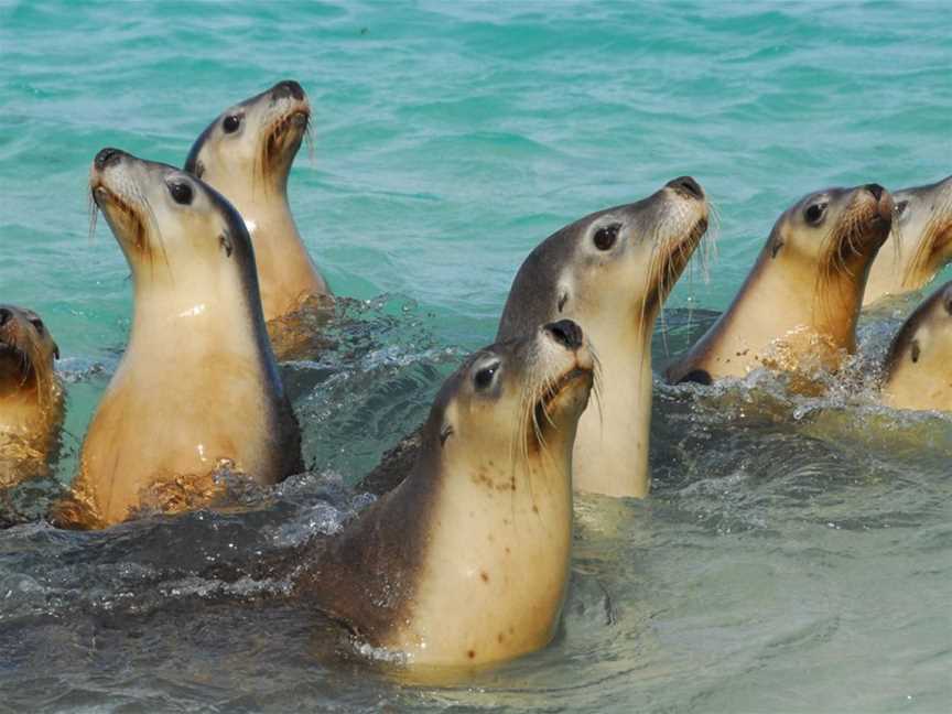 Jurien Bay Marine Park