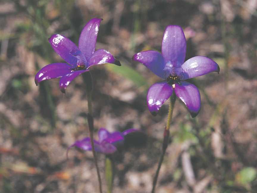 Kalamunda National Park