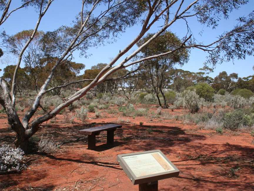 Kalgoorlie Arboretum