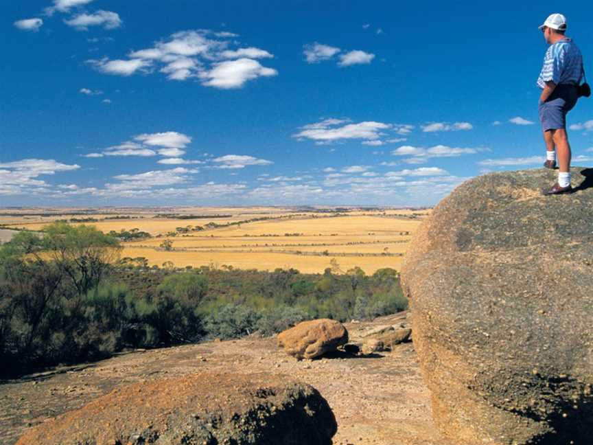 Kokerbin Nature Reserve