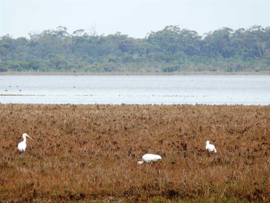 Lake Muir National Park