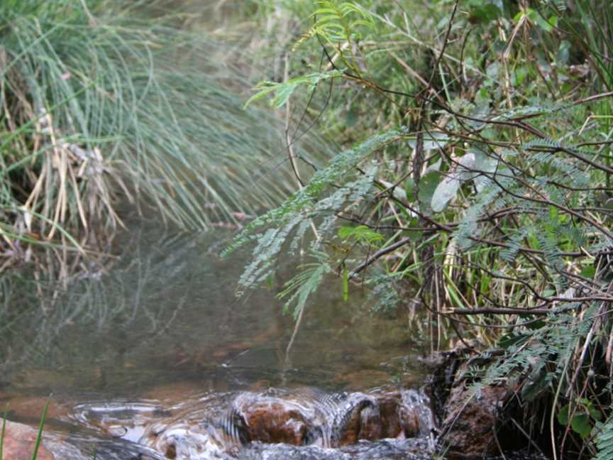 Lane Poole Reserve