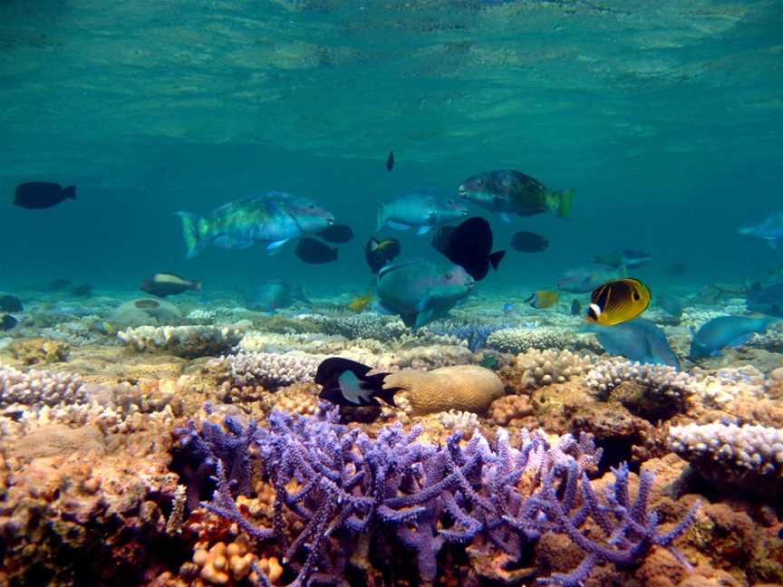 Mermaid Reef Marine Park