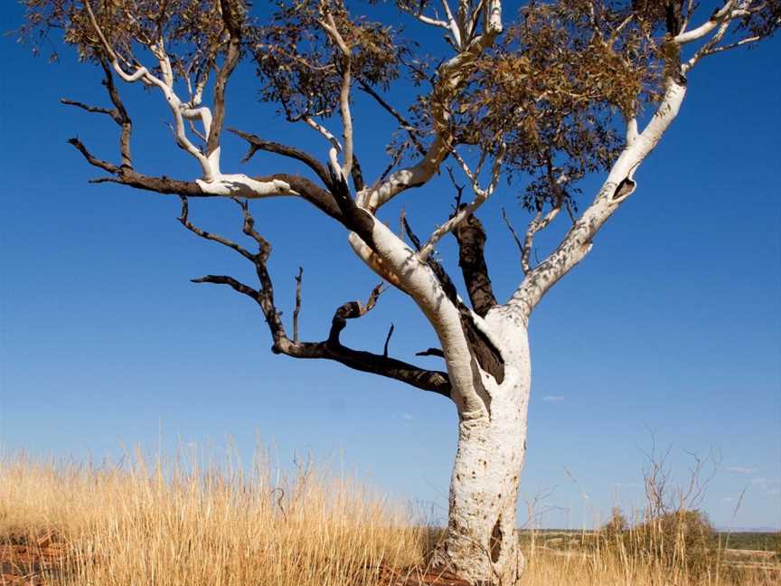 Millstream Chichester National Park