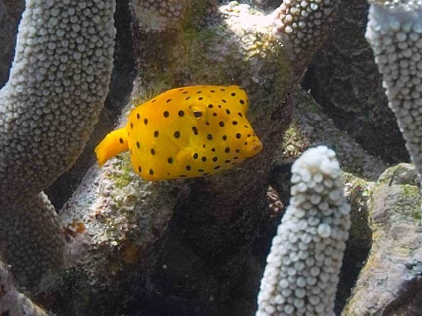 Montebello Islands Marine Park